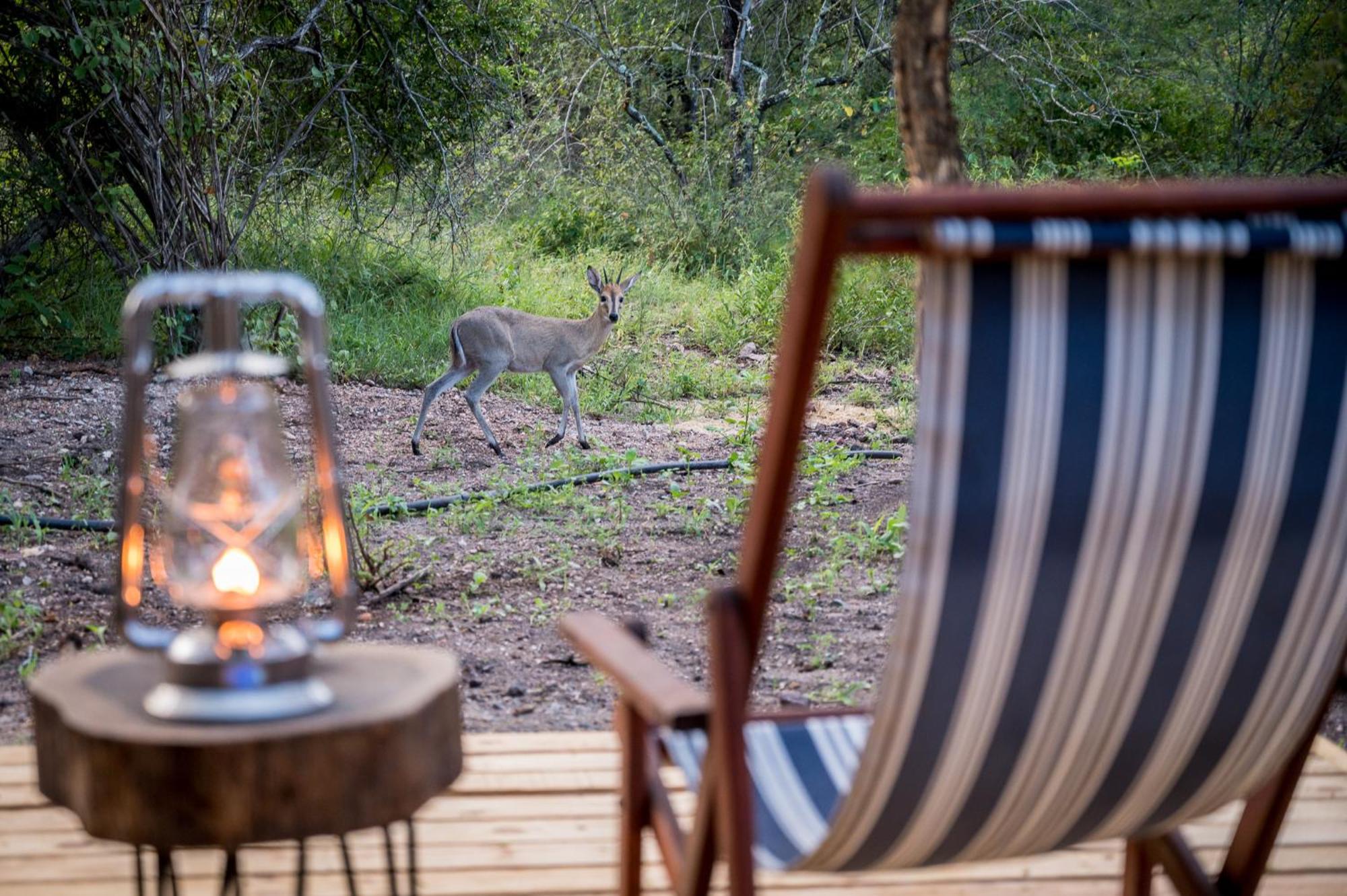Bosveld Marloth Park